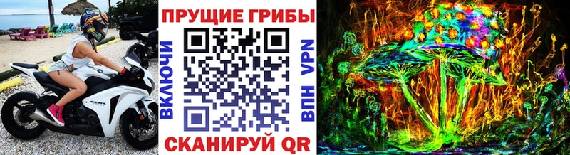 Псилоцибиновые грибы Psilocybe Алупка
